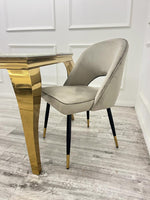 Load image into Gallery viewer, Plush-DC-16 Leather Dining Chair